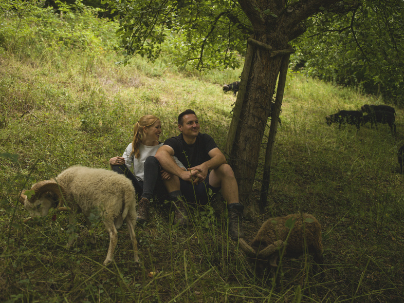 Julia und Benni unterm Baum, umringt von ihren Schafen